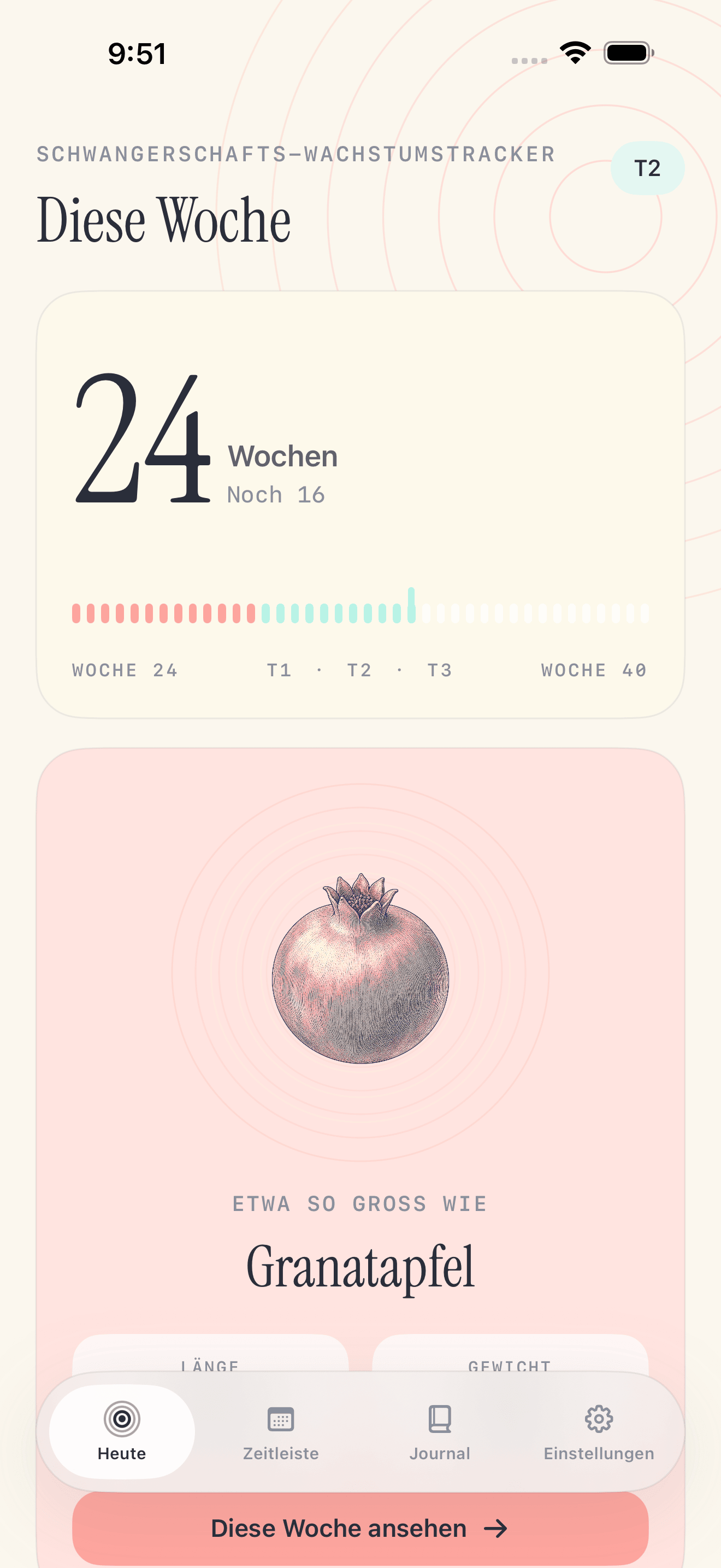Pregnancy Growth Tracker Heute-Bildschirm