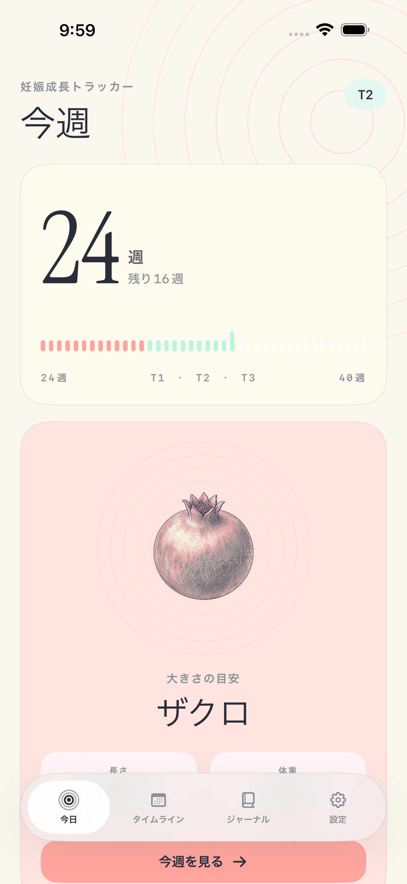 Pregnancy Growth Trackerの今日の画面