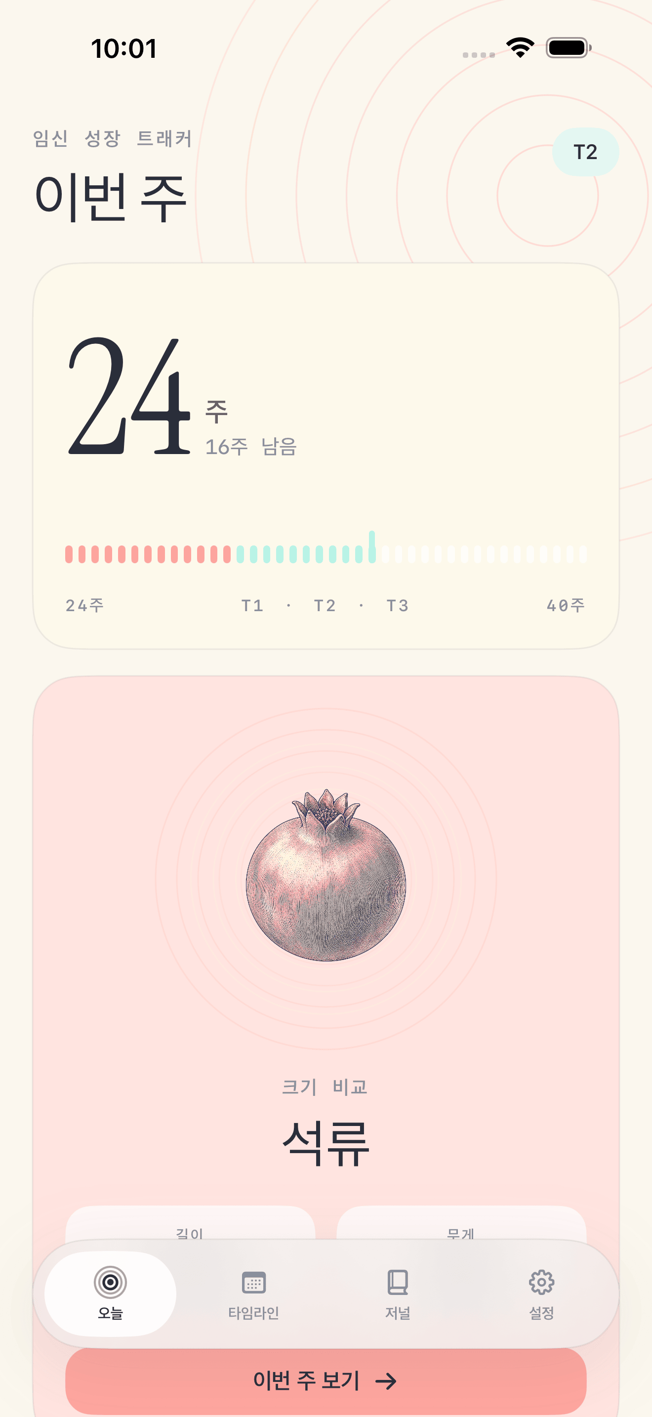 Pregnancy Growth Tracker 오늘 화면