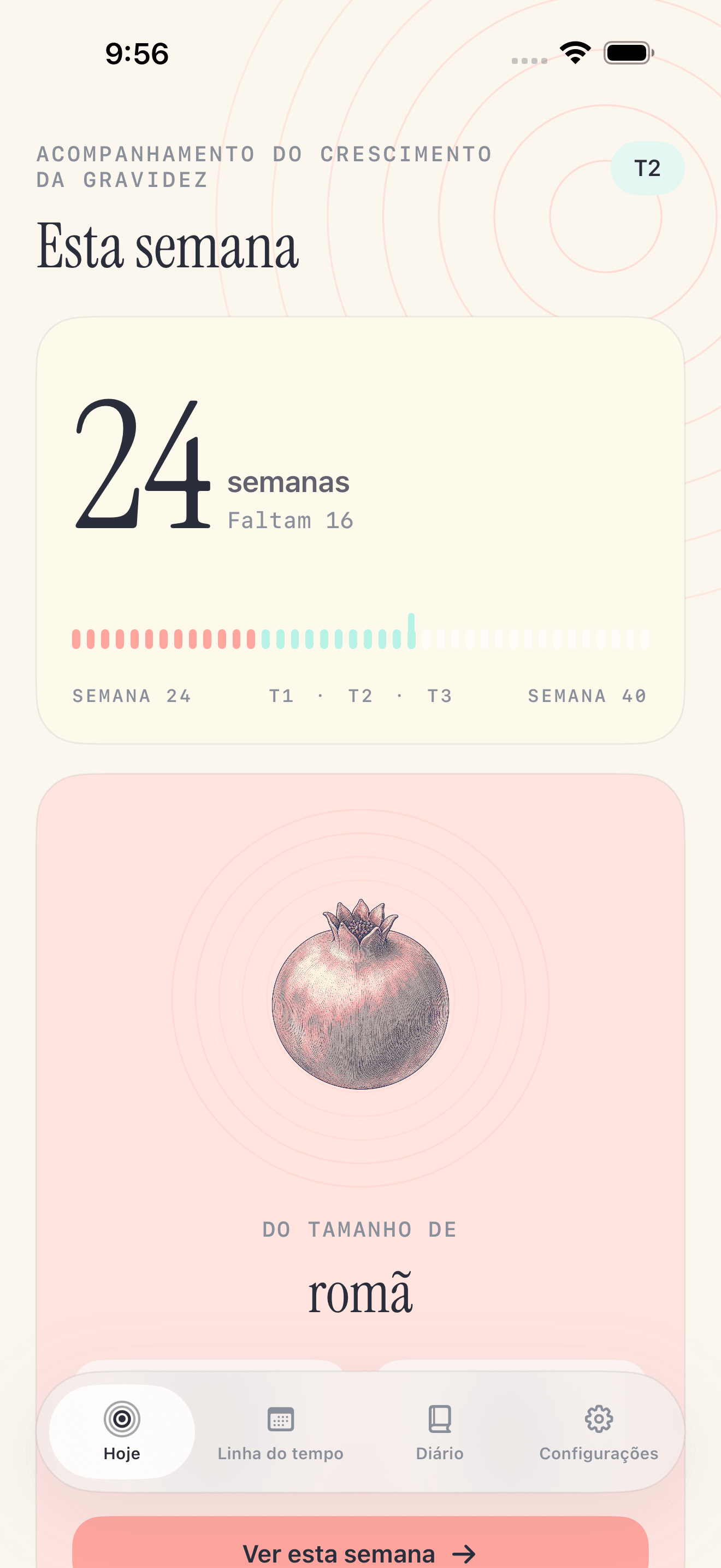 Tela de hoje do Pregnancy Growth Tracker