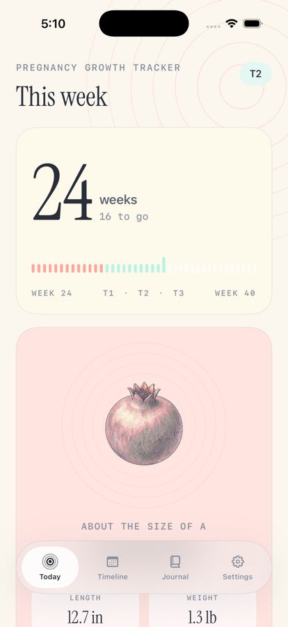 Pregnancy Growth Tracker today screen