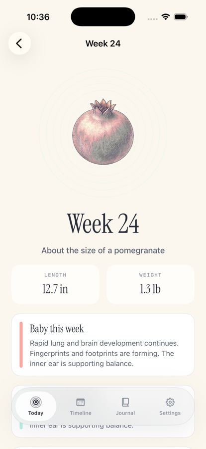 Pregnancy Growth Tracker timeline screen
